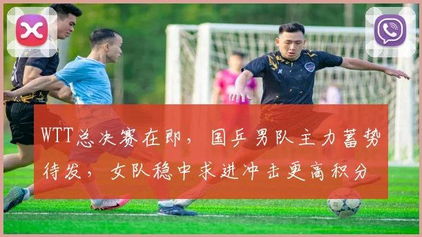 WTT总决赛在即，国乒男队主力蓄势待发，女队稳中求进冲击更高积分